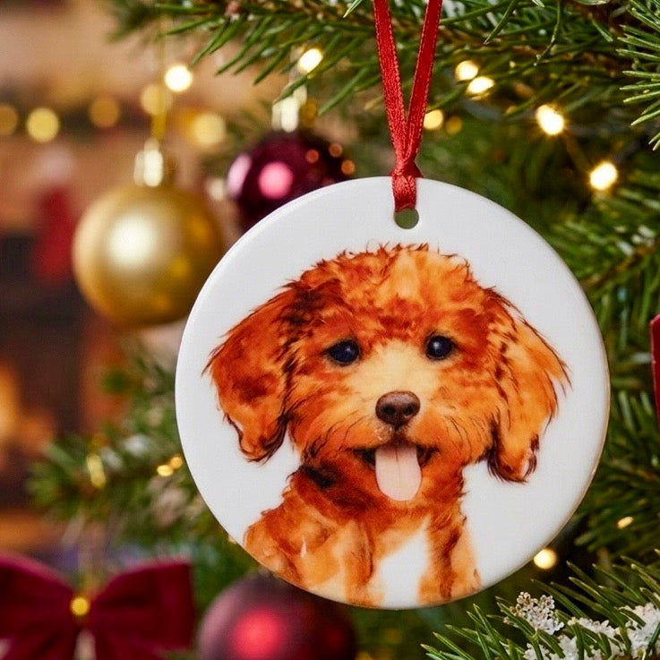 UV Printed Ornament